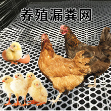 不服比价加厚家禽养殖网格防漏防滑鸡鸭鹅垫网育雏养殖漏粪塑料网