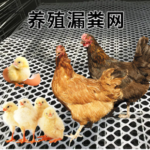 �����ȃr�Ӻ�����Bֳ�W���©�����u���Z�|�W���r�Bֳ©�S���ϾW