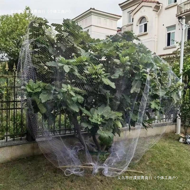 果树防鸟网樱桃树树果园防护网果树网罩遮树葡萄防鸟用的网纱通用