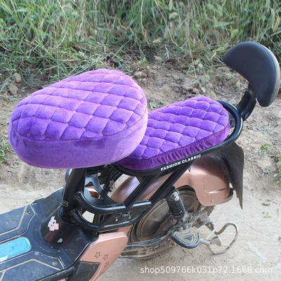 Seat Cover Autumn and Winter Plus: Electric car cushion - purple-round-head-front-seat-cover-rear-seat-cover
