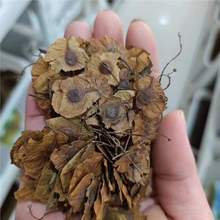 ���X�ɷN���p݆���N���ļ����������̾G���^�~�N�ݘ�N��4