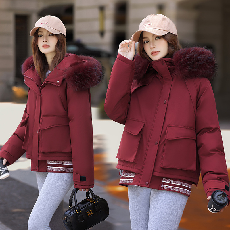 Europa y los Estados Unidos comercio exterior nueva ropa de algodón de tamaño grande para mujeres estudiantes corto ropa de algodón coreana suelta gran cuello de pelo chaqueta de algodón de color contraste image 2