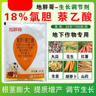 ���ָ��Ȼ�đ�| ��������¸��o�����ش������[�������R�����