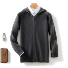 休闲秋季新款男士纯羊毛衫中青年连帽款拉链开衫羊毛运动卫衣帽衫