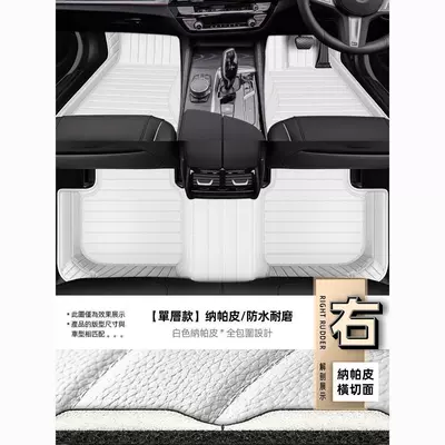 of Right-Hand Drive Cars, Right-Hand Steering, Universal Foot Pad