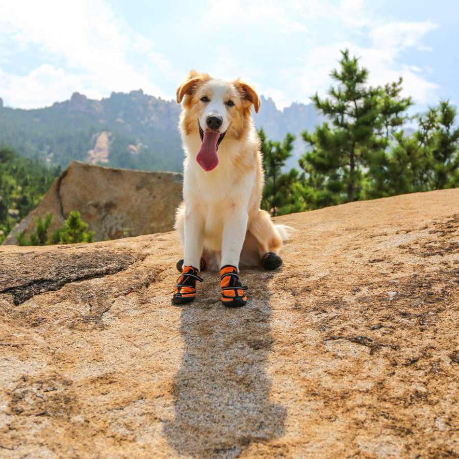 Zapatos para perros de fondo suave antideslizante medio perro zapatos para mascotas Botas de lluvia impermeables zapatos para perros sin gota zapatos para mascotas de invierno al por mayor