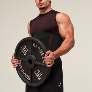 Professional Tight-Fitting Summer Fitness Clothing for Men, Quick-Drying Mesh Training, High-Elastic Sleeveless Bodysuit, Sports Vest
