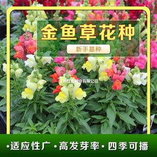 ���N�ӽ��~�ݷN�ӻ�ɫ���^�����ﲥ�̨�����׷N���^���N�����\�}