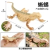 Lizard
