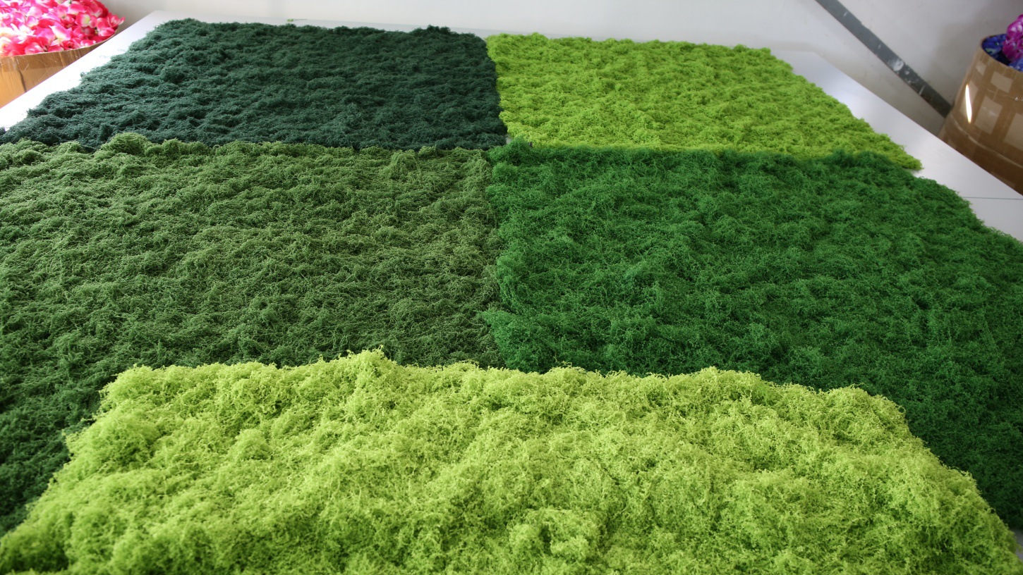 751A2464 - 开心看图王_副本