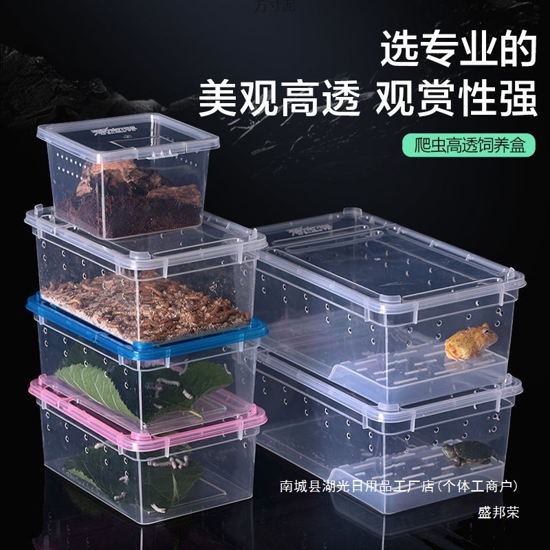 厂家直销爬虫饲养盒爬宠箱蜘蛛角蛙盒宠物蚕宝宝守宫蜗牛昆虫乌龟