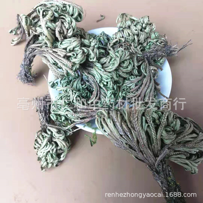 Dried Selaginella Juan Bai 500g Whole Herb Resurrection Grass Traditional TCM Botanical specifications