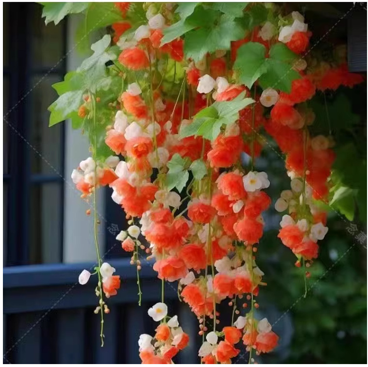 ΢��ͼƬ_20240313225801