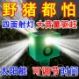 太阳能强光超大动物射灯