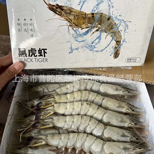 �R����������2-3�ڻ��r10�^ 6kg/��600��/�м������^��������r