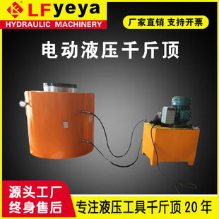 DYG QYS��10-2000T��늄�Һ��ǧ��� 呴��͸� ��ͬ��Һ��ǧ���