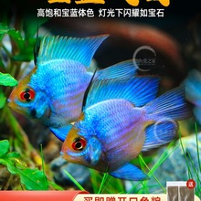 �{���ӌ��{�P���򰢷��_����С�͟Ꭷ�^�p�����~���w�~�׺��m���~