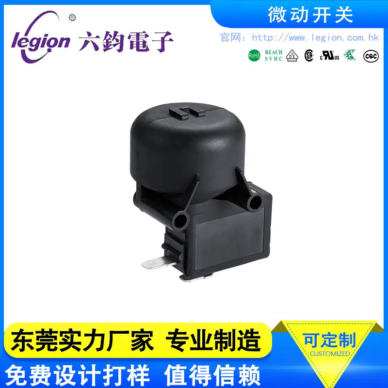 LEGION六钧 充电枪/热水器/玩具枪防水微动开关RT-M1-0C3B16C200-