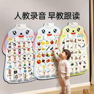 Baby Audio Early Education Wall Chart Reading Sound Book Infant and Young Kidsren Literacy Learning Enlightenment Toy Pinyin Alphabet
