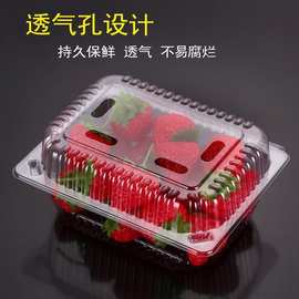 500克有盖一次性塑料水果盒生鲜透明托盘加厚果切盒果蔬打包盒子