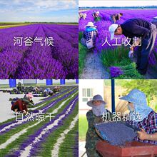 ��޹޹�²ݸɻ������^���l����M��܇�d������־Î����������