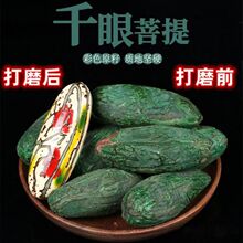 彩色菩提原色果胖果大果老果成品七彩千眼菩提子佛心果马来西亚果