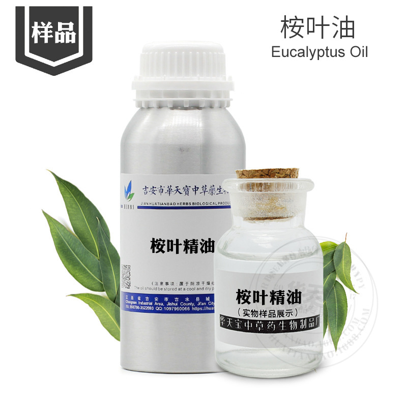 桉叶精油 样品5ML 单方桉叶精油 Eucalyptus Oil 量大优惠