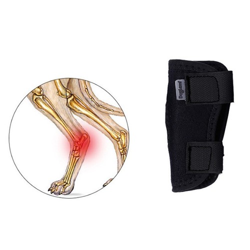 Pet Supplies Dog Leg Support Band Injury Joint Post-Surgery Support Band Wound Healing Anti-Licking Leg