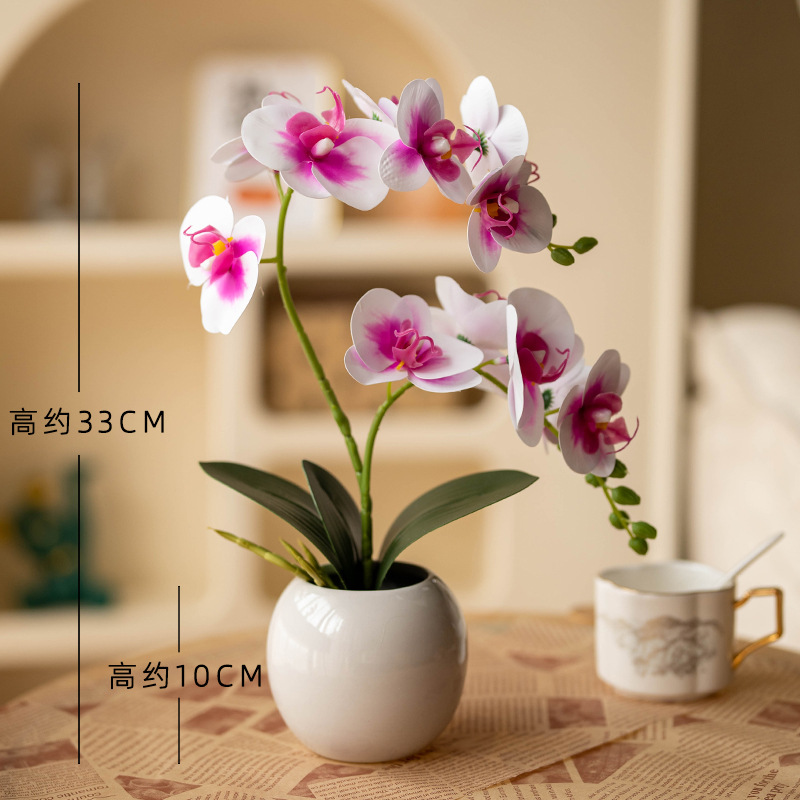 밝은 유약 흰색 세면대 + 2갈래 호접란 분홍색과 흰색