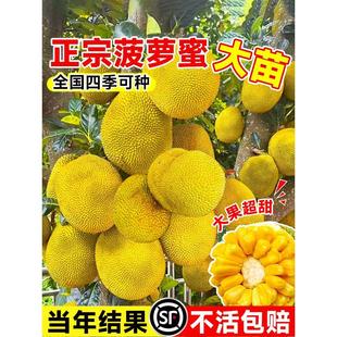 ���}�ۘ����޽ӹ�������ļ�ˮ�����҃���ͥԺ���ԷN���ͺ���ɏ