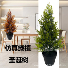 人造仿真圣诞树松柏树家居造景装饰迎客松仿真绿植假松柏植物盆栽