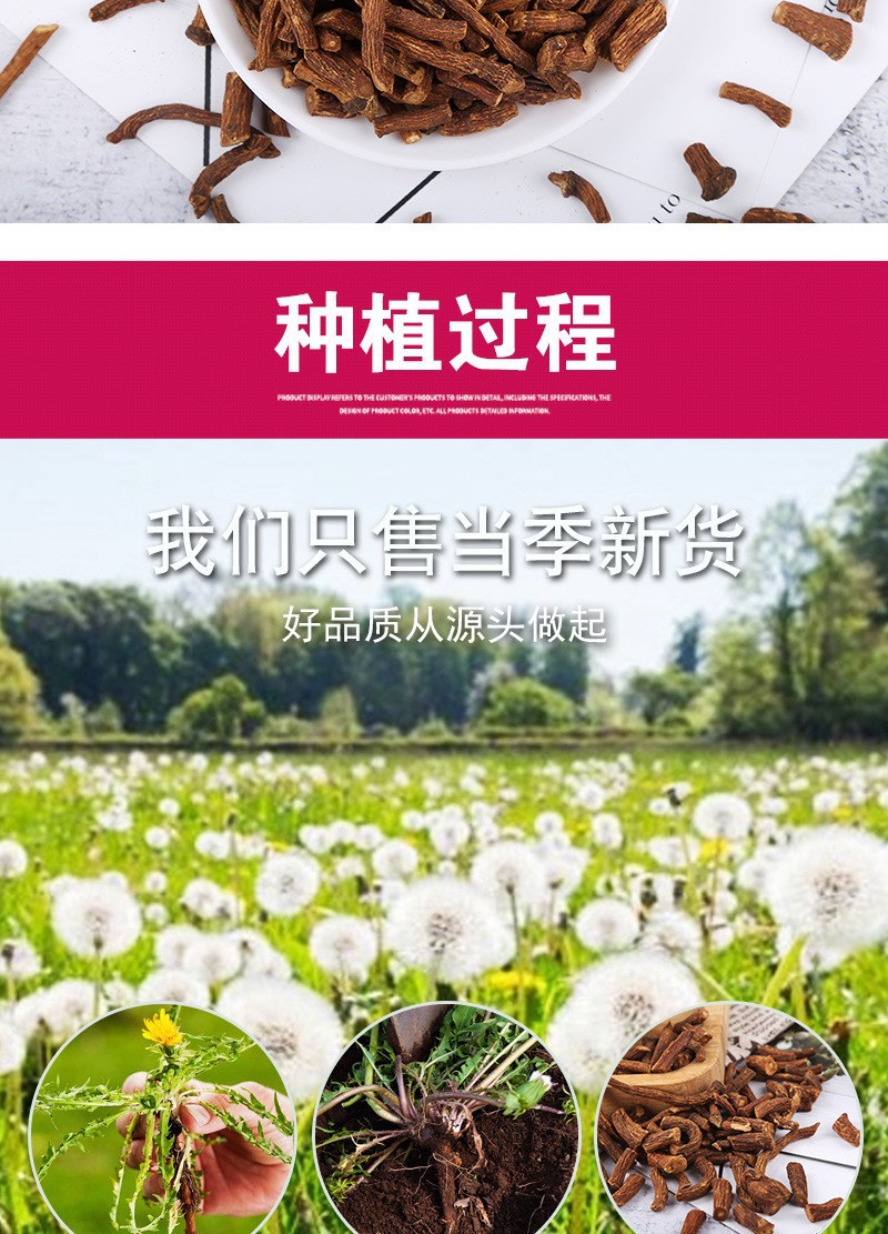 Dandelion Root (Taraxacum officinale) — Dried Food-Herb Root for Herbal Tea & Wellness Brews in use