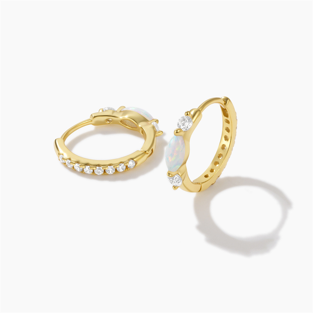 Basic, Modern Style, Simple Style Style 1 Pair 925 Sterling Silver Zircon Geometric Round Earrings