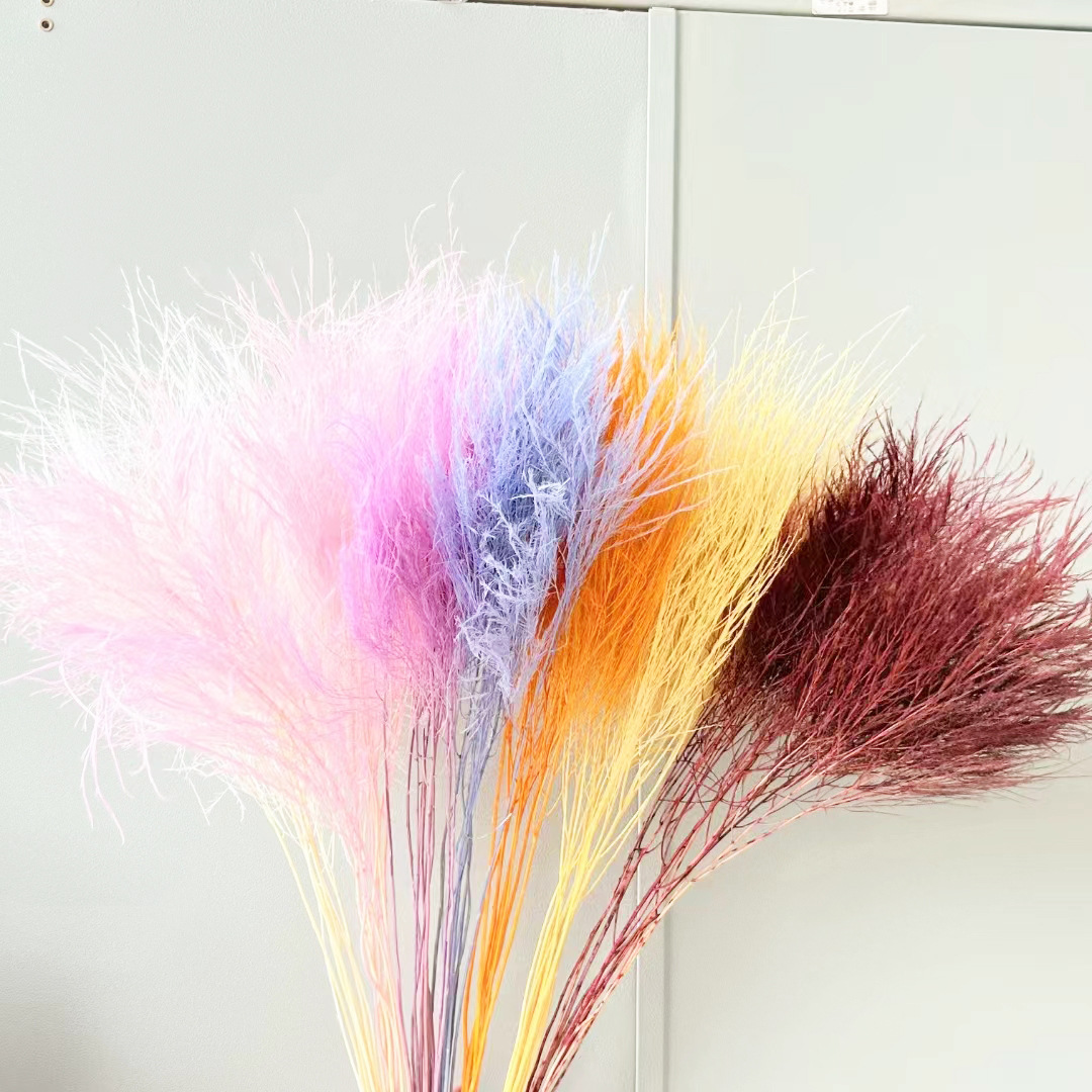 Yunnan Everlasting Reed Grass Dry Flower Stone Grass Long Hair Grass Home Decor DIY Bouquet Matching Materials Manufacturer Flower Wholesale