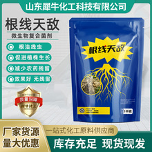 闷棚宝防治线虫复合菌剂根结线虫淡紫拟青霉地初元威百亩根线天敌