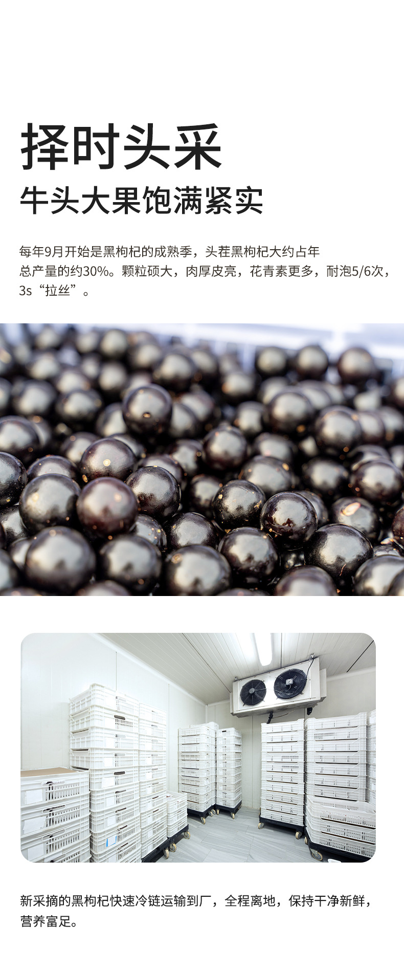 Premium Qinghai Black Goji Berries Hei Gou Qi Dried Whole Berries 250g Jar Seasonal New Harvest specifications