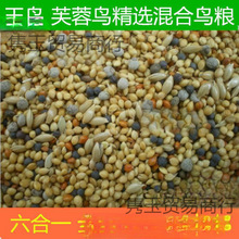 ���B�Bʳ ܽ���B�B�Z ����B�Z�����Ͳ����K��500�� �Ӽ{�������B