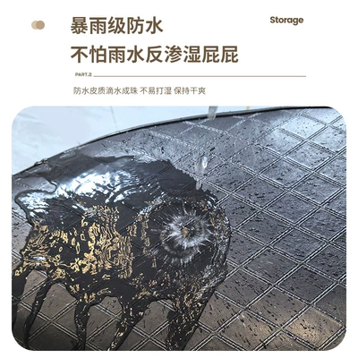 and Sun-Proof, Universal for All Seasons, Electric car cushion
