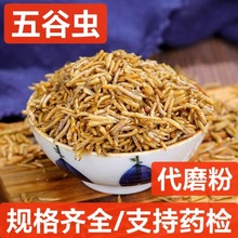 ����x șʳͬԴ ����x ����xω�� ���_���� ֧��ș�z ��ĥ��