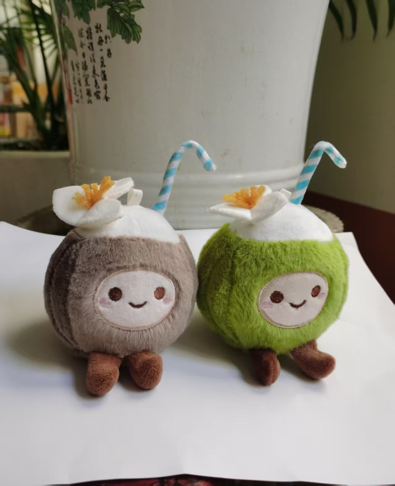 Coconut Animal Y