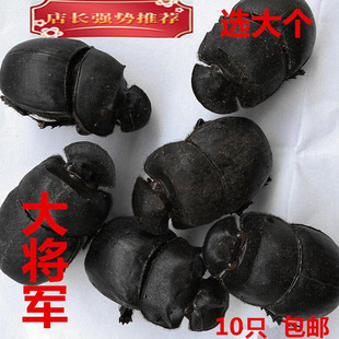 ��ֻ��܊ ʺ�� �����x �ƼS�x10ֻ���]��ˮ��؛��؛��؛