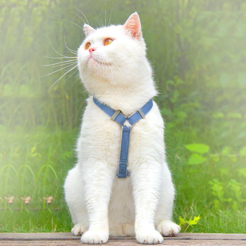 02de3582-e079-4f2e-8553-7a0c025c4890.jpe