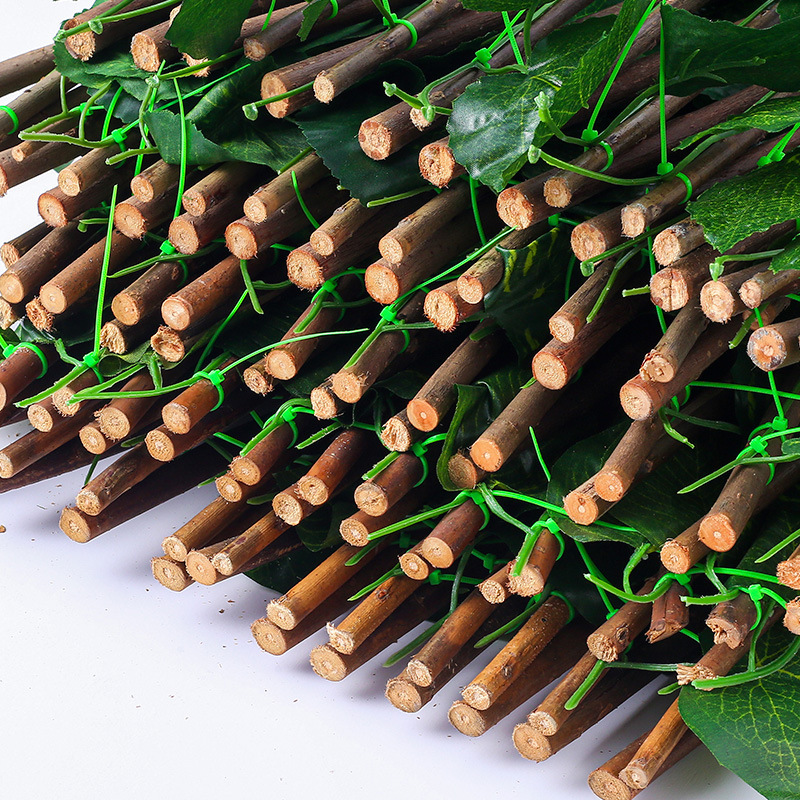 18336674857_77184706