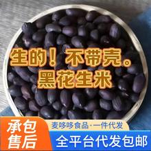 新货富硒黑花生米晒干原味生的小颗粒黑皮花生籽云南普洱黑花生仁