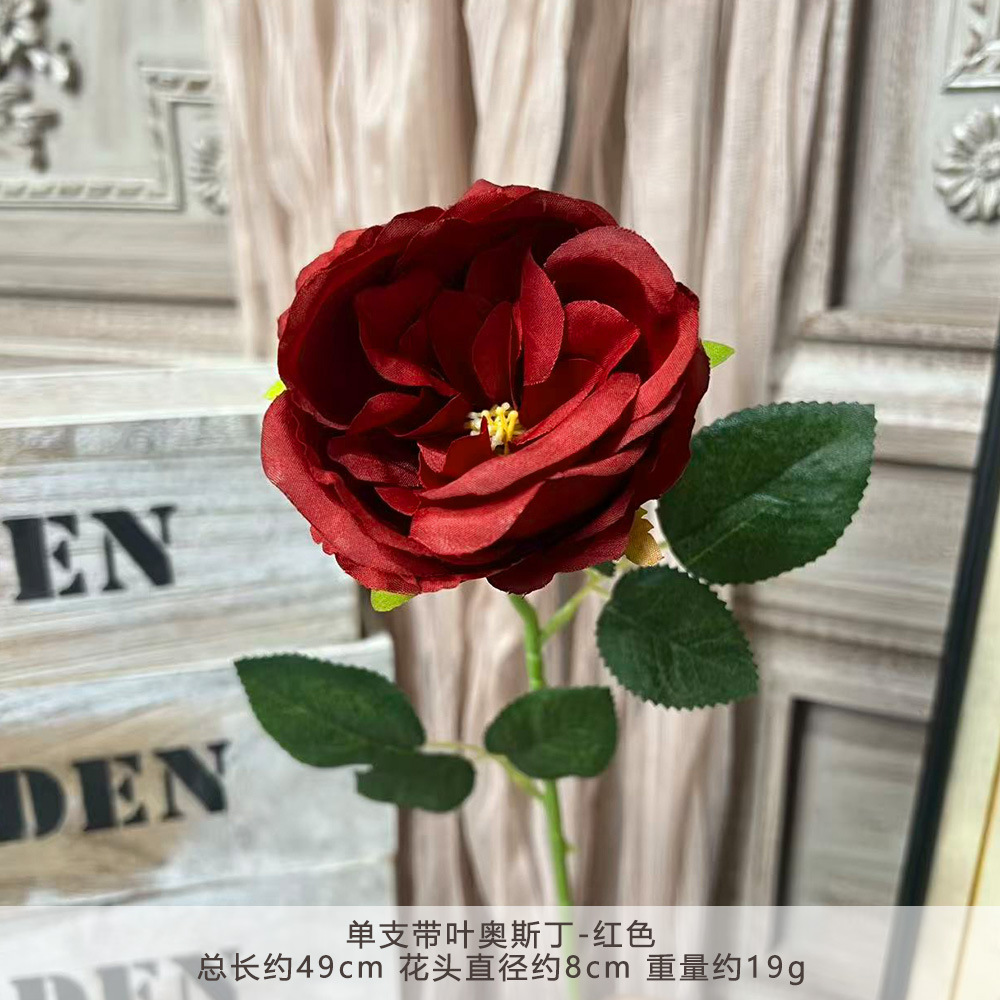 Zz - single stem austin rose with leaves - red