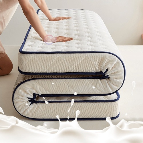 软垫家用榻榻米垫褥子加厚学生宿舍单人海绵租房专用垫被乳胶床垫