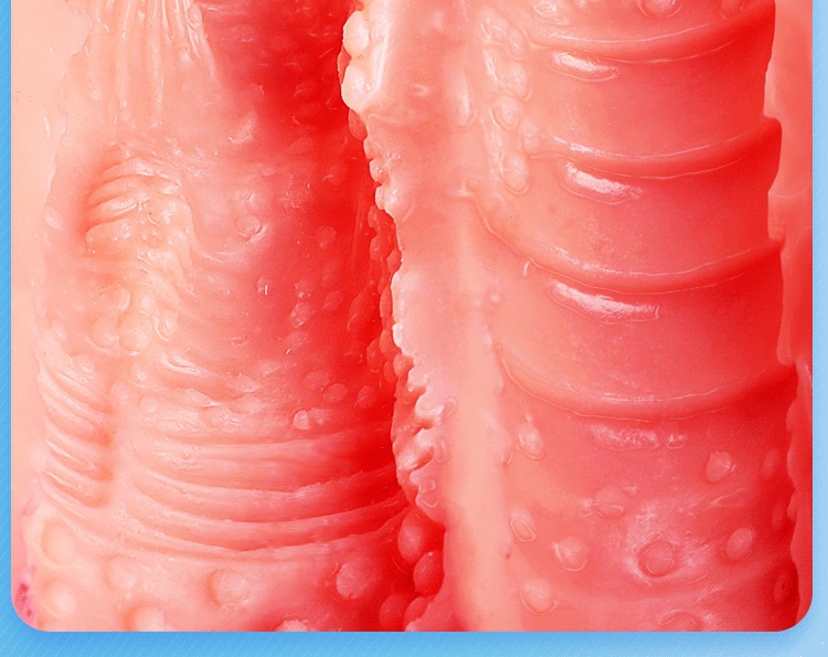 Half-Body Male Masturbator with Realistic Butt Mold and Breasts, TPE Manual Adult Toy — detail image 10