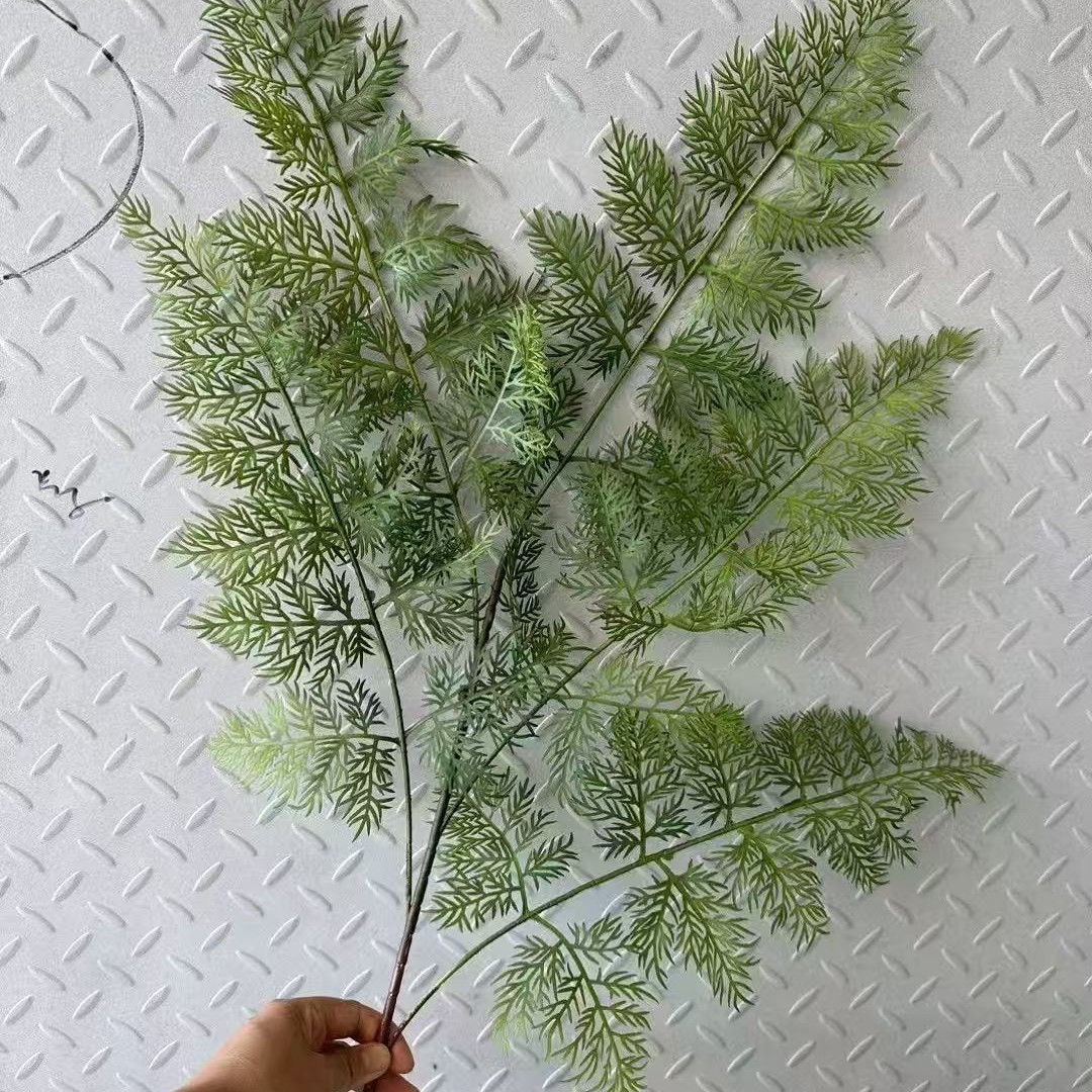 로토 잎 녹색
