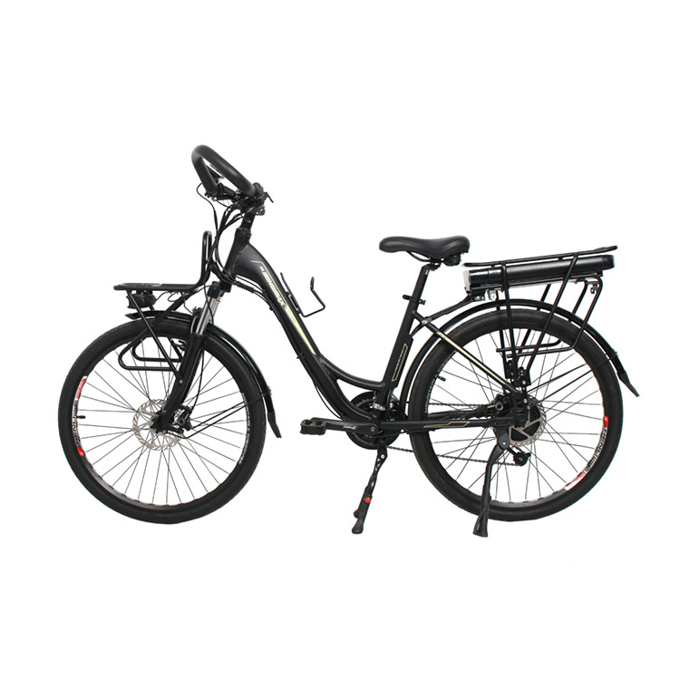 ebike10