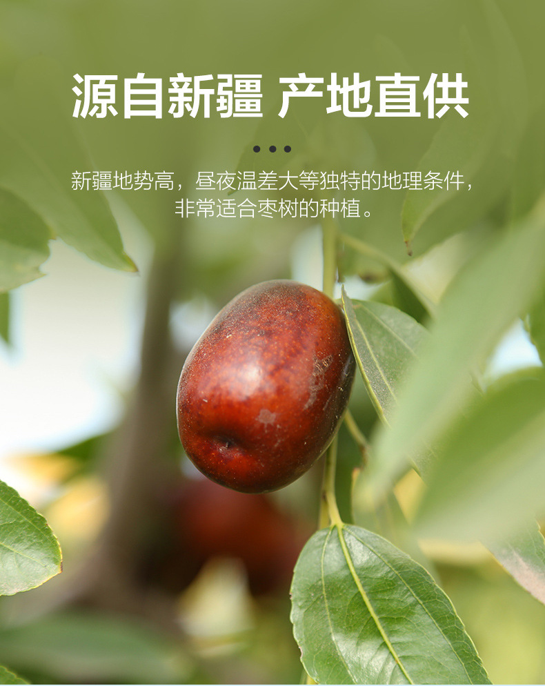 Dried Xinjiang Red Dates Jujube Dates Hong Zao 500g Bagged Whole Pitted Chinese Herbal Fruit key features